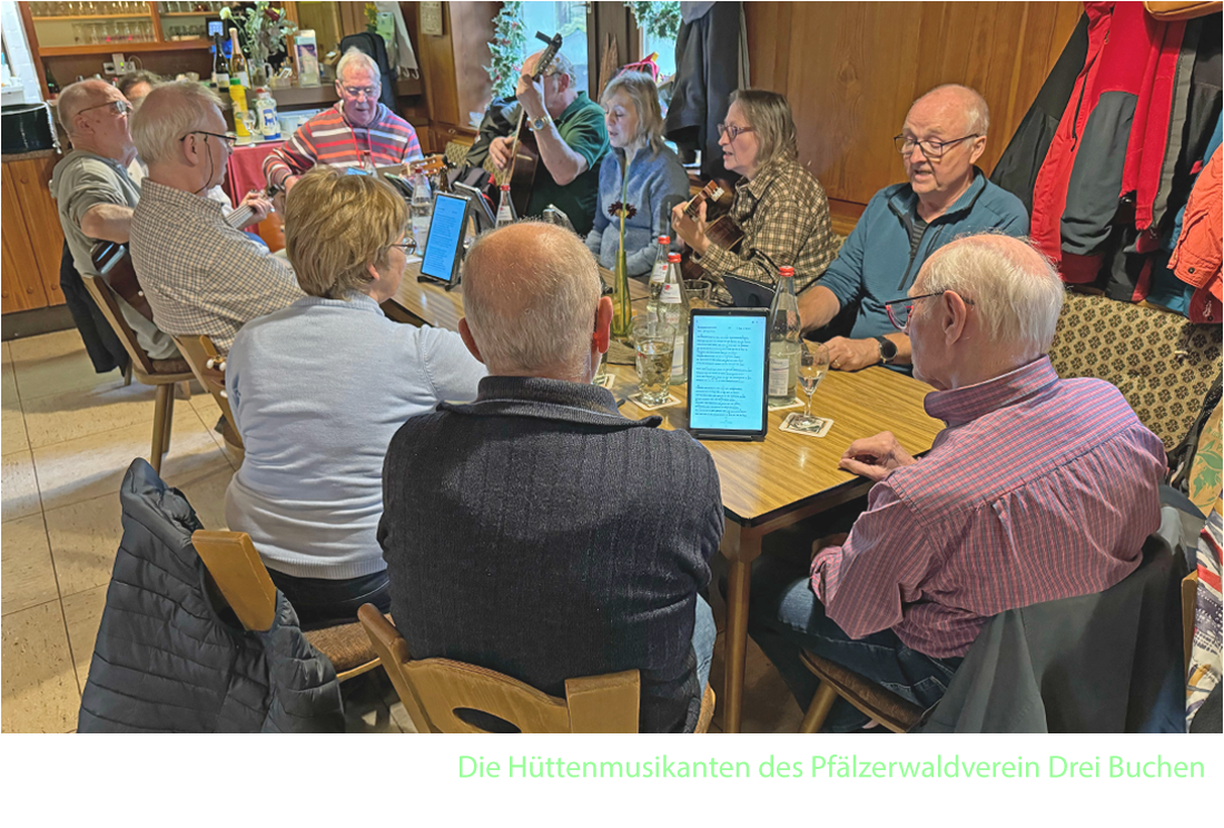 Drei Buchen