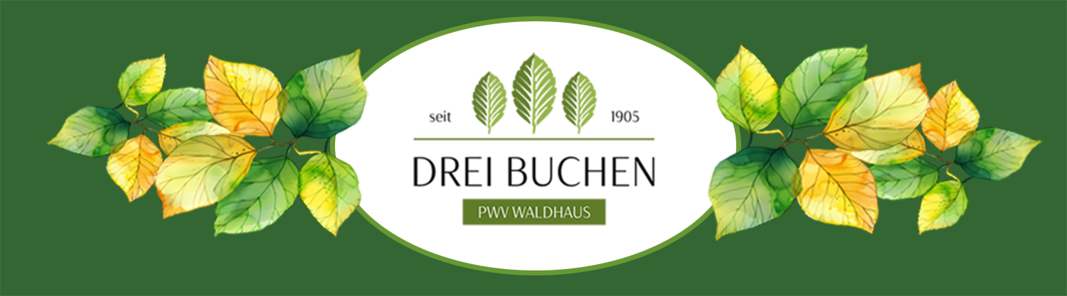 Drei Buchen